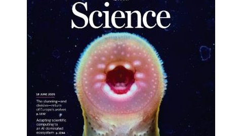 辽宁师范大学七鳃鳗研究中心首登国际顶刊《Science》封面文章